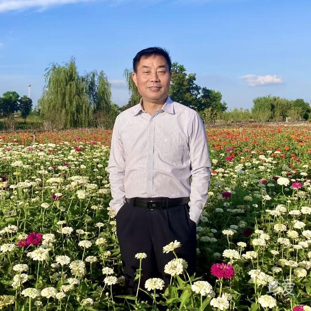 高华