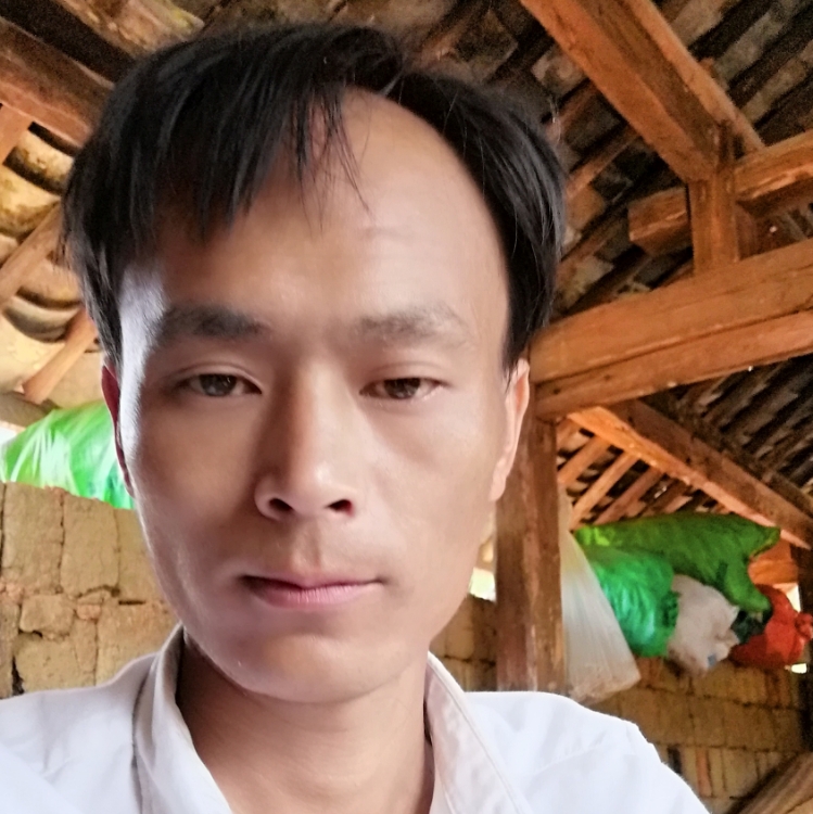 只缘身在此山中