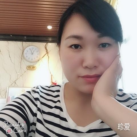 一朵向日葵