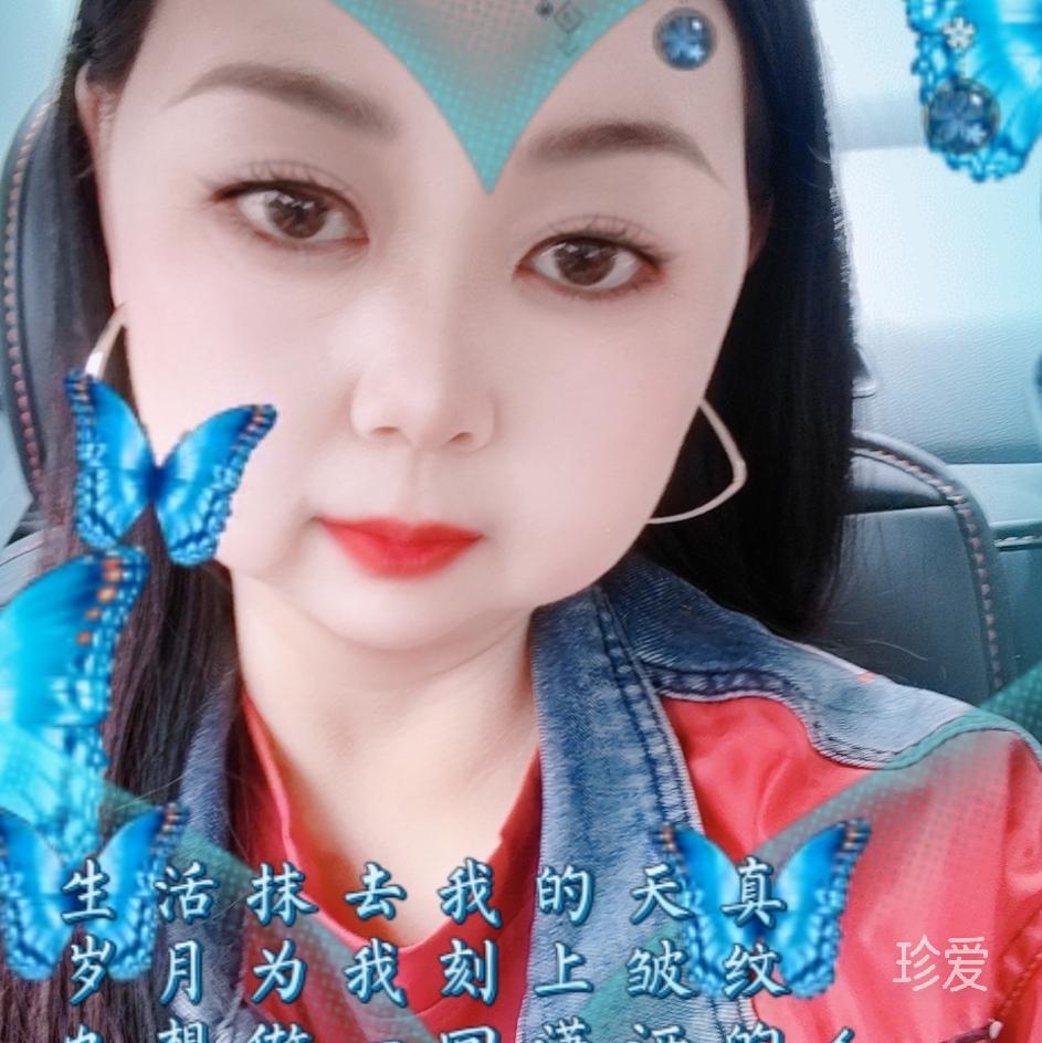 大脸猫