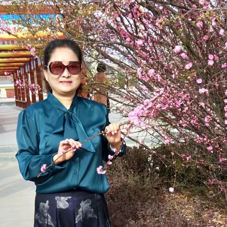 永不放弃的候鸟