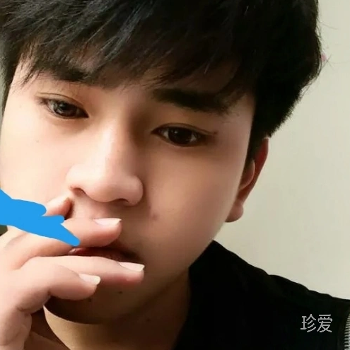 左岸忆惜度流年