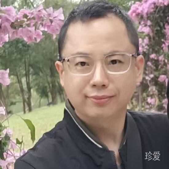 林中鸟