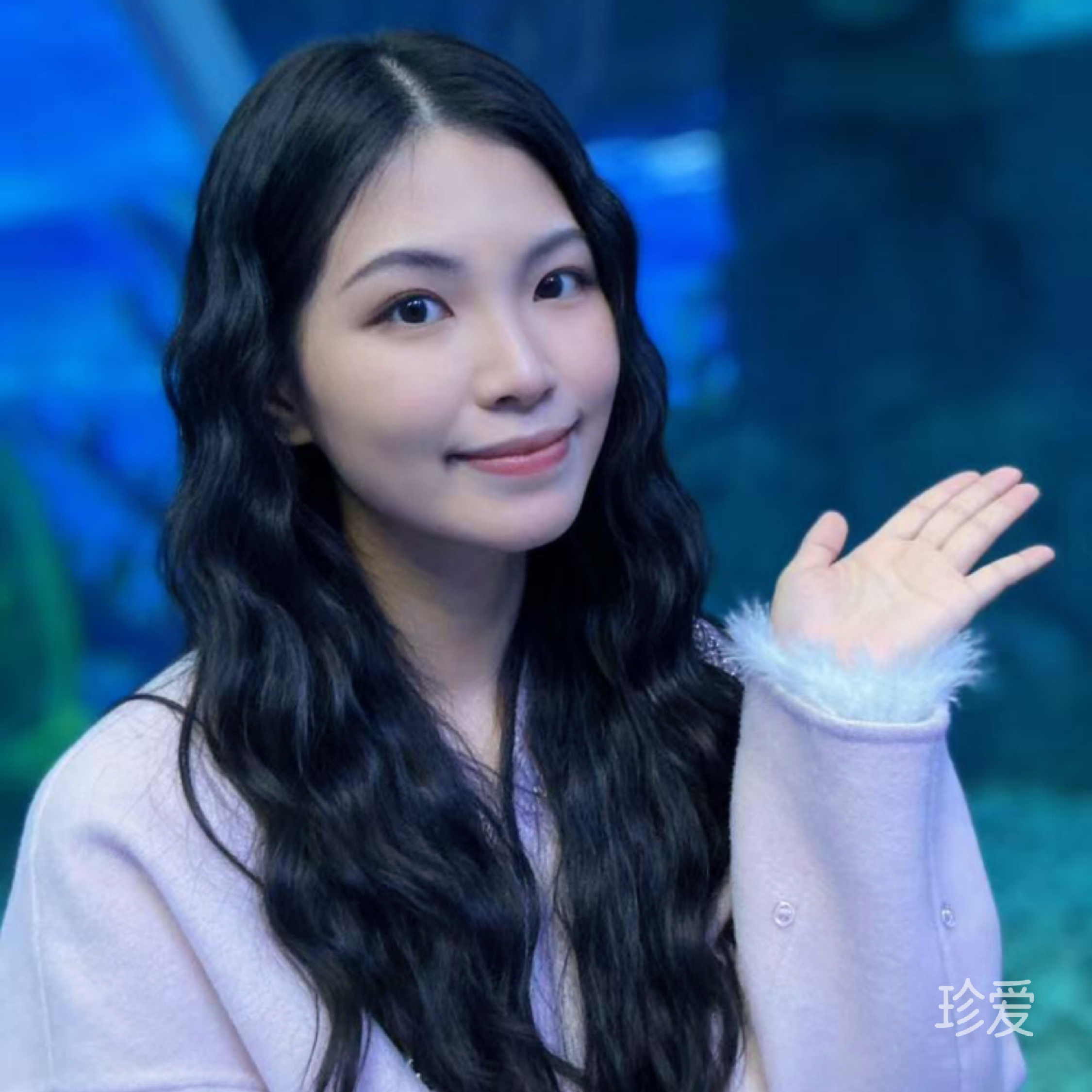 晚风叙温柔