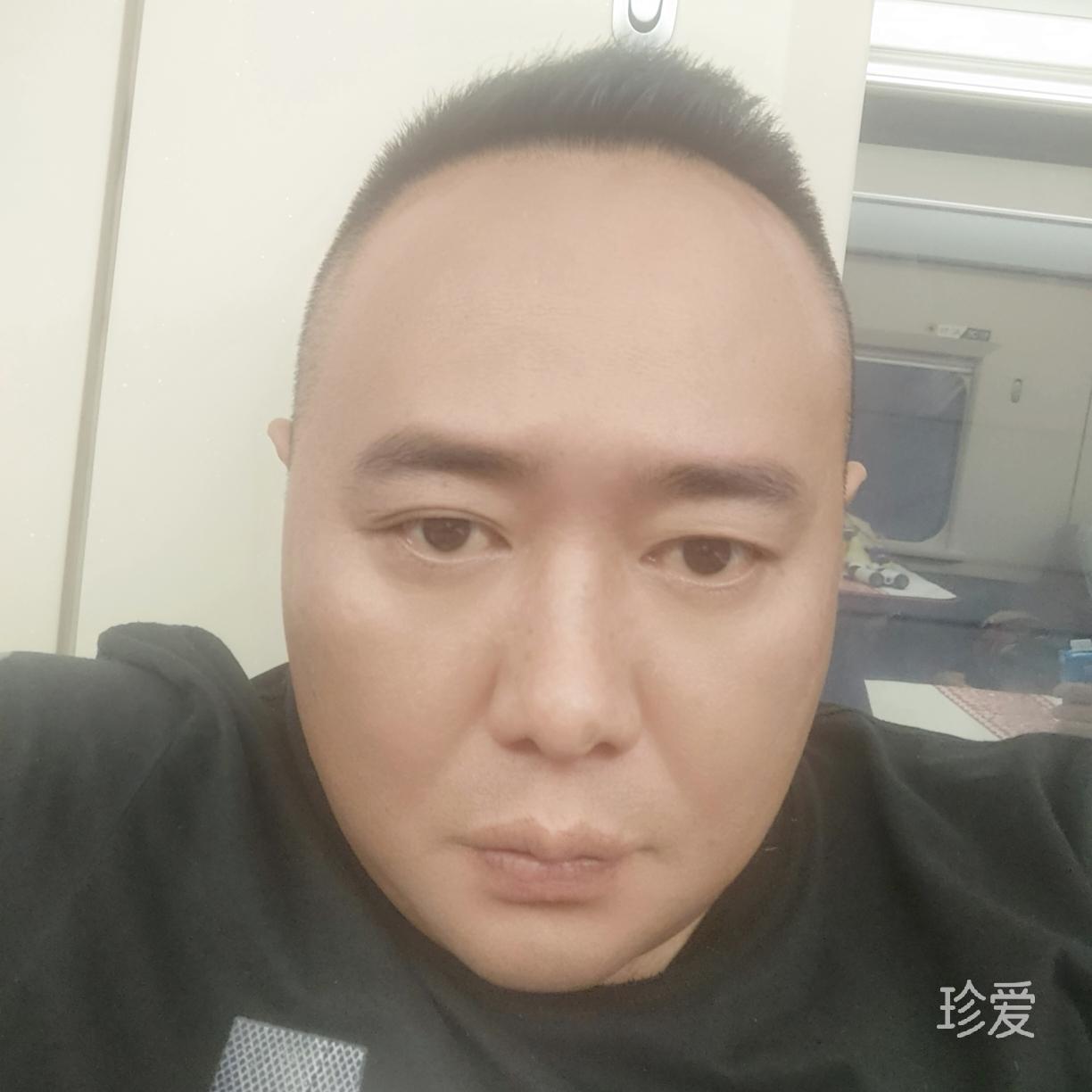 受伤的狼