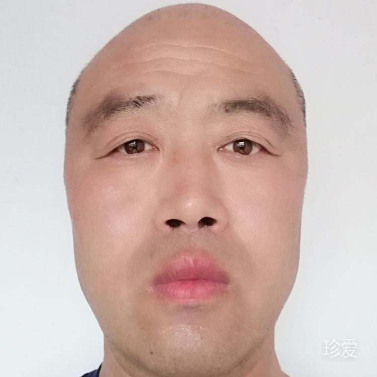 孤单的雁