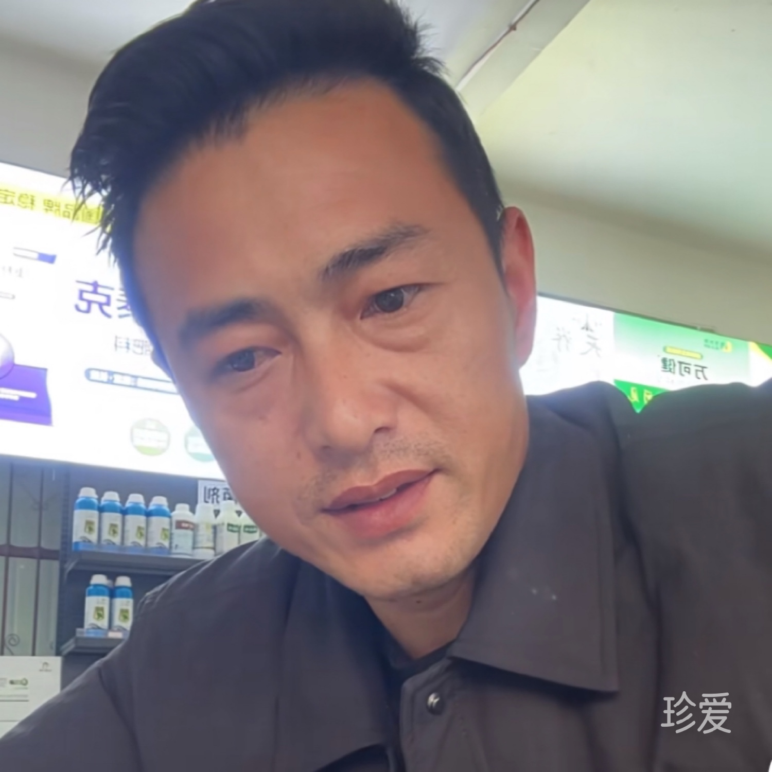 林可