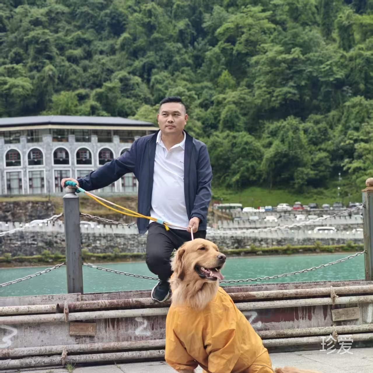 淼淼