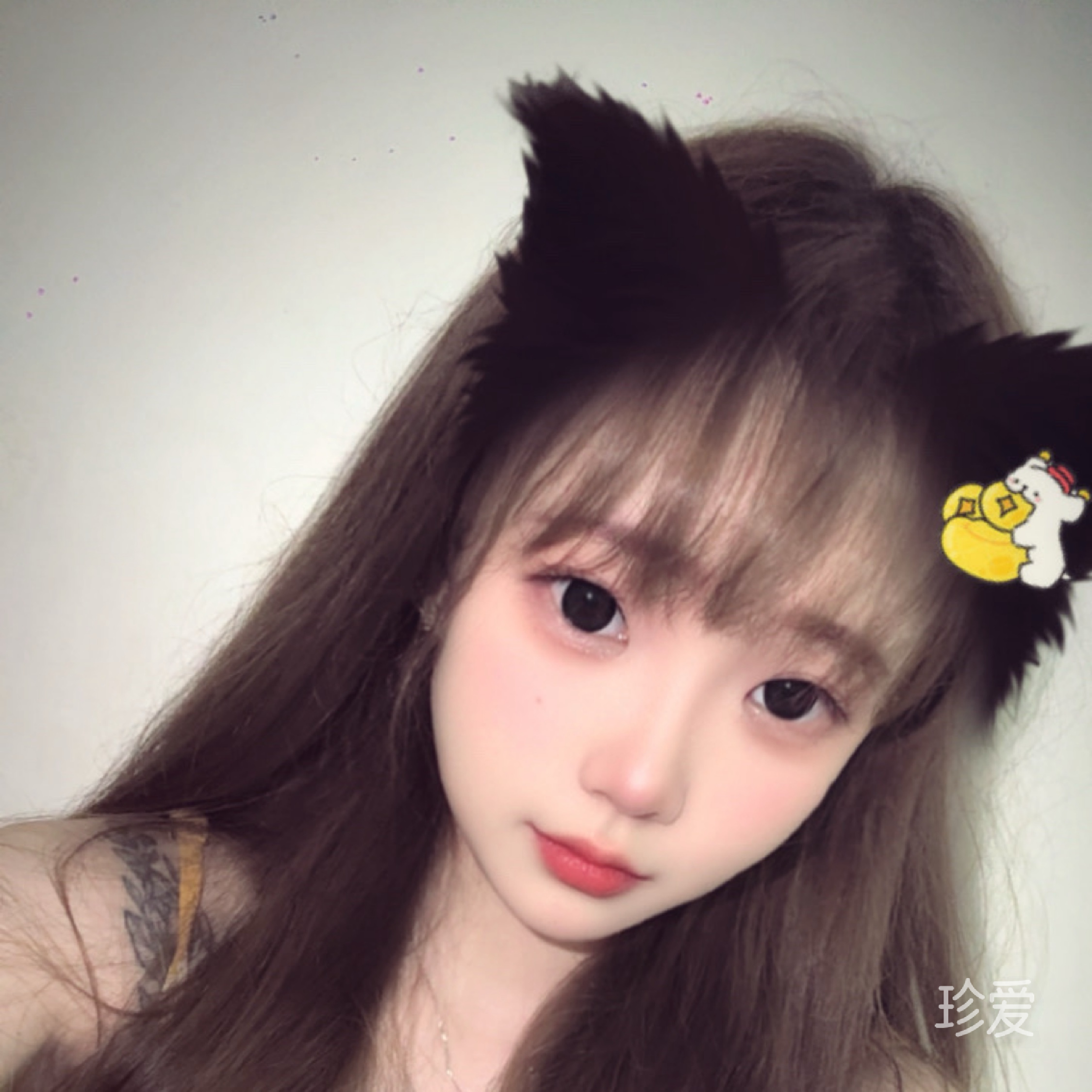 森林起霧了