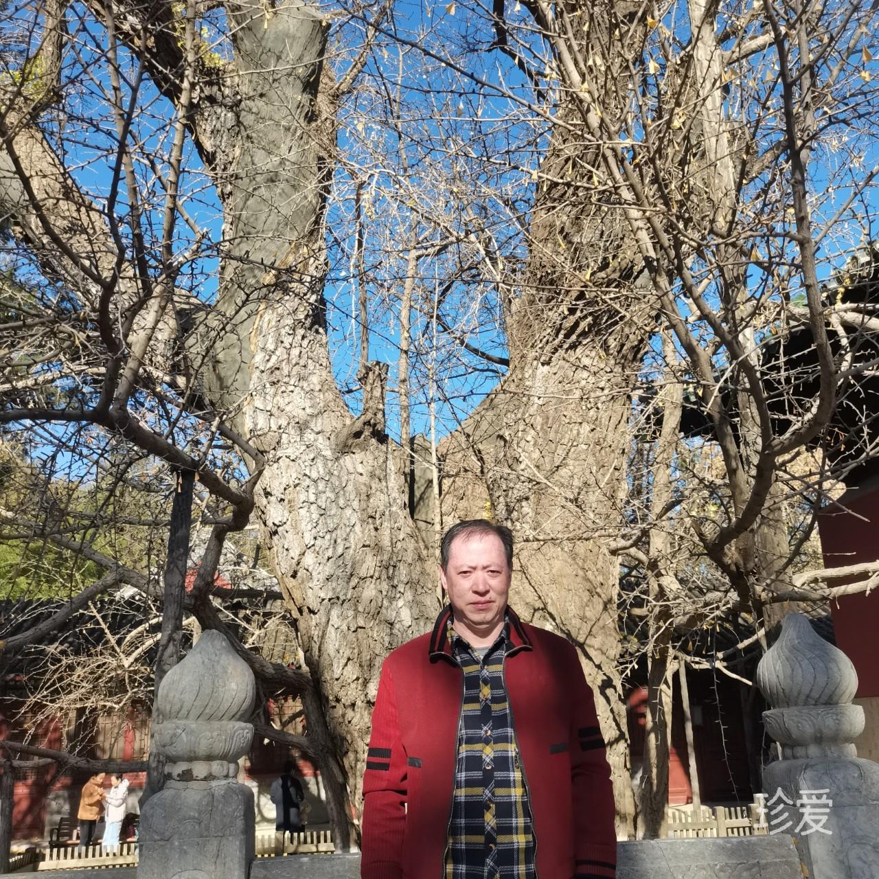 一片阳光一片海