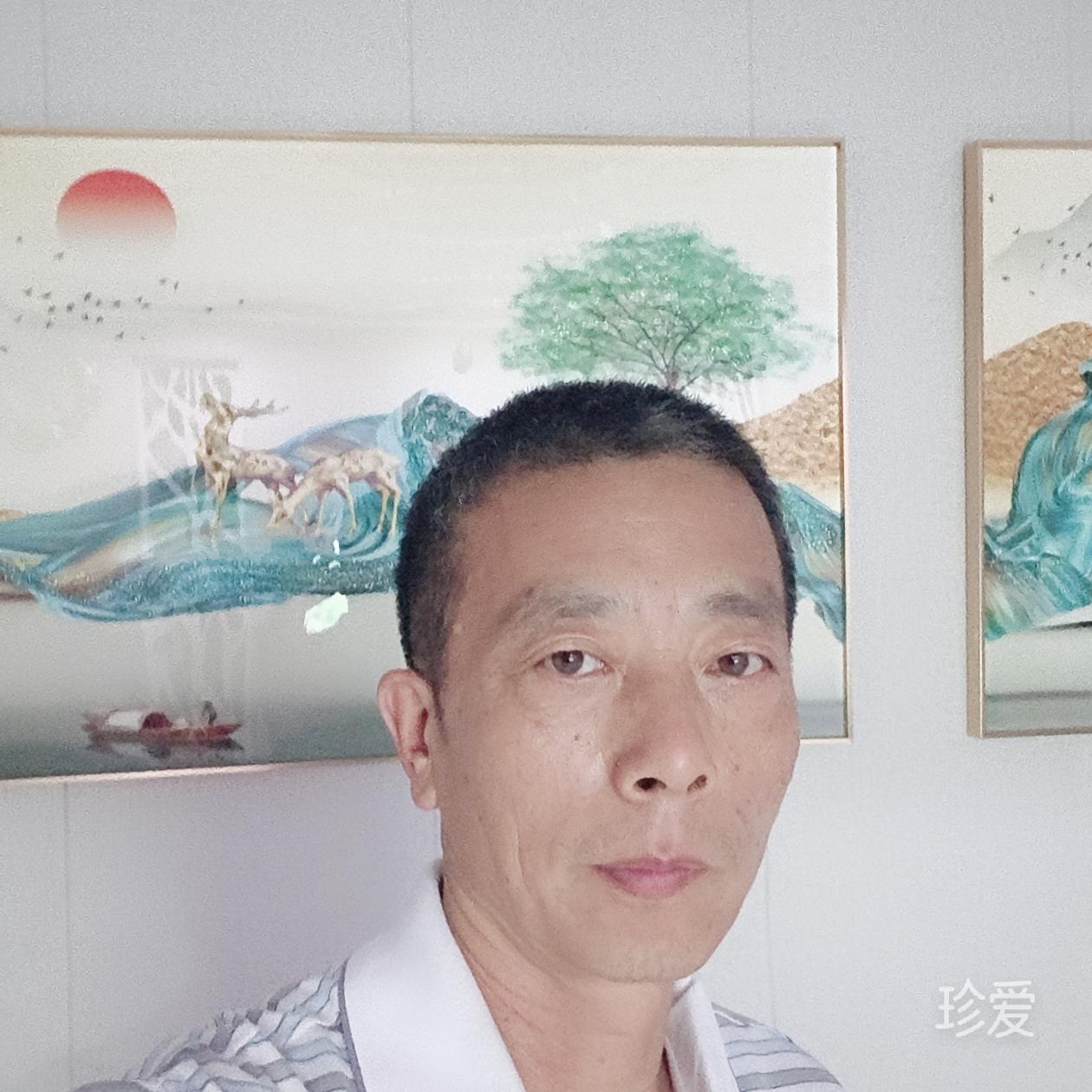 輕撫陽光