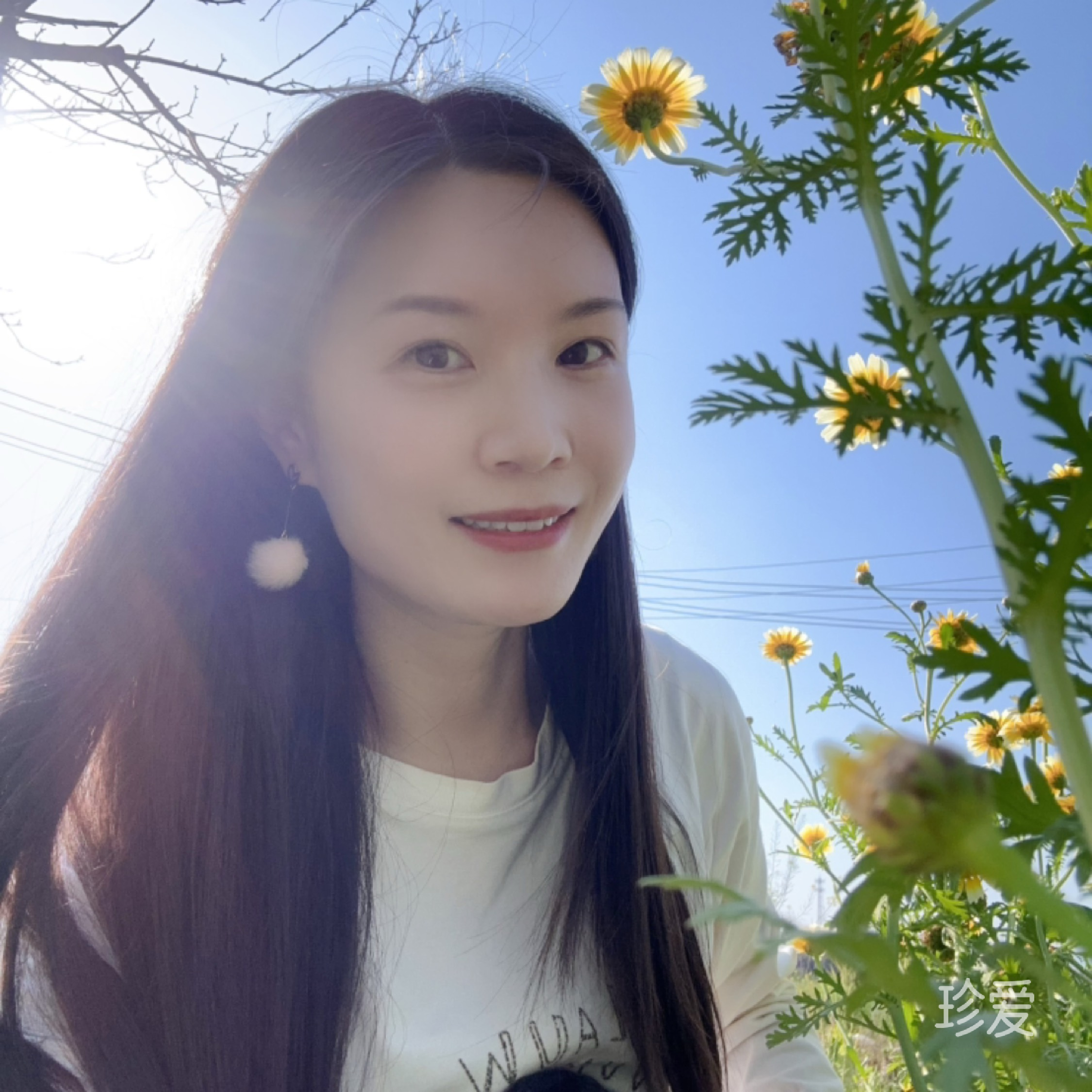 一袭清香