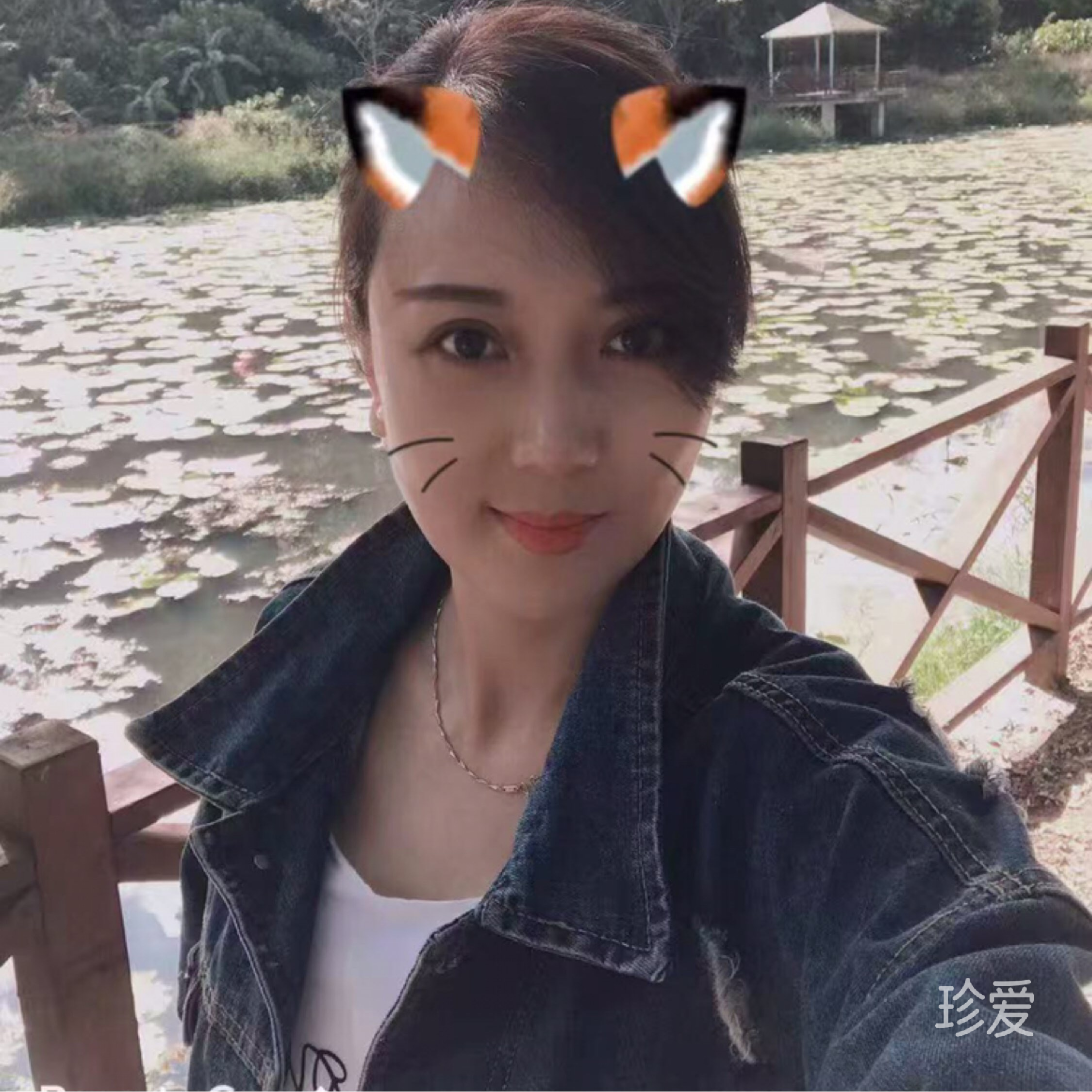 清晨的风