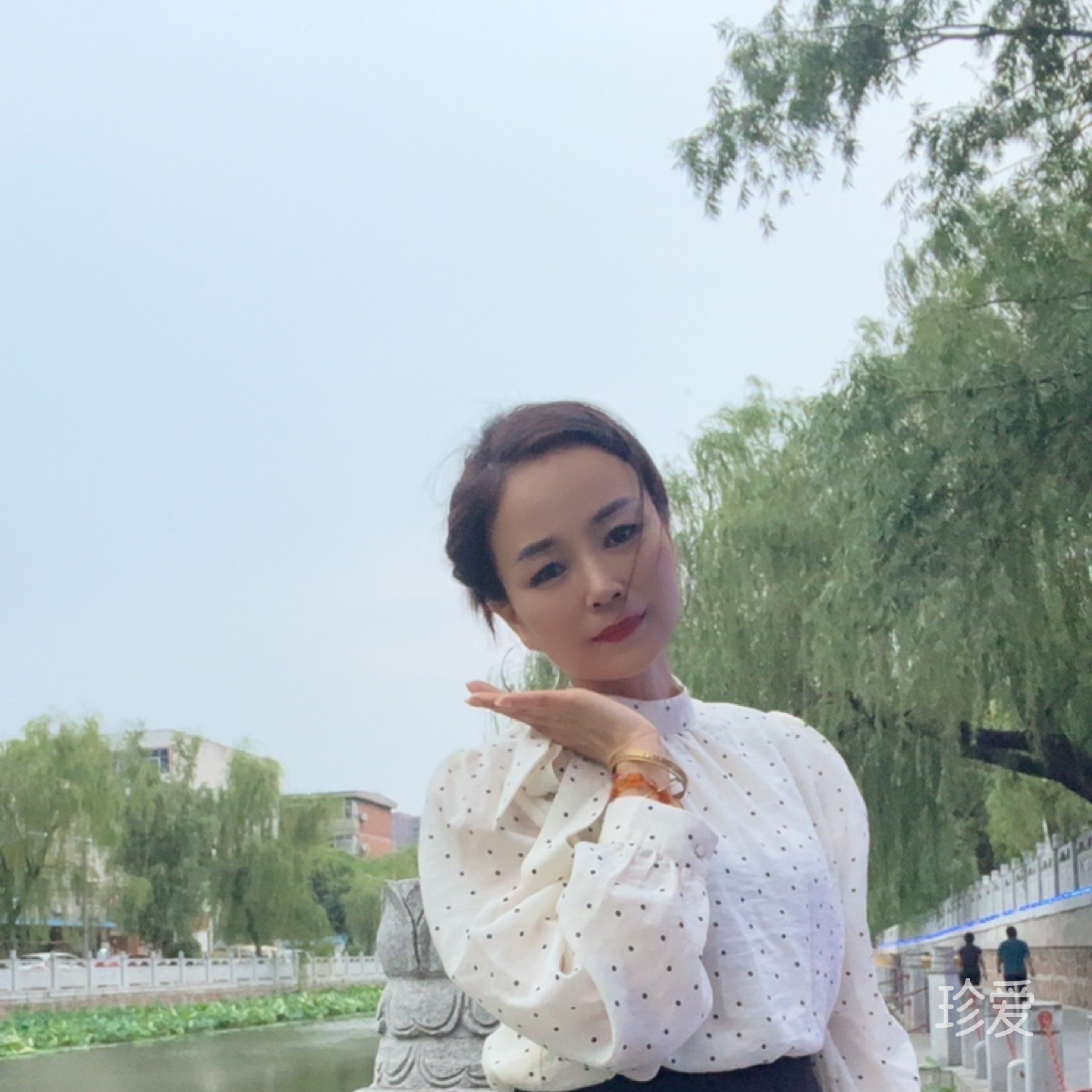 风中的摇摆