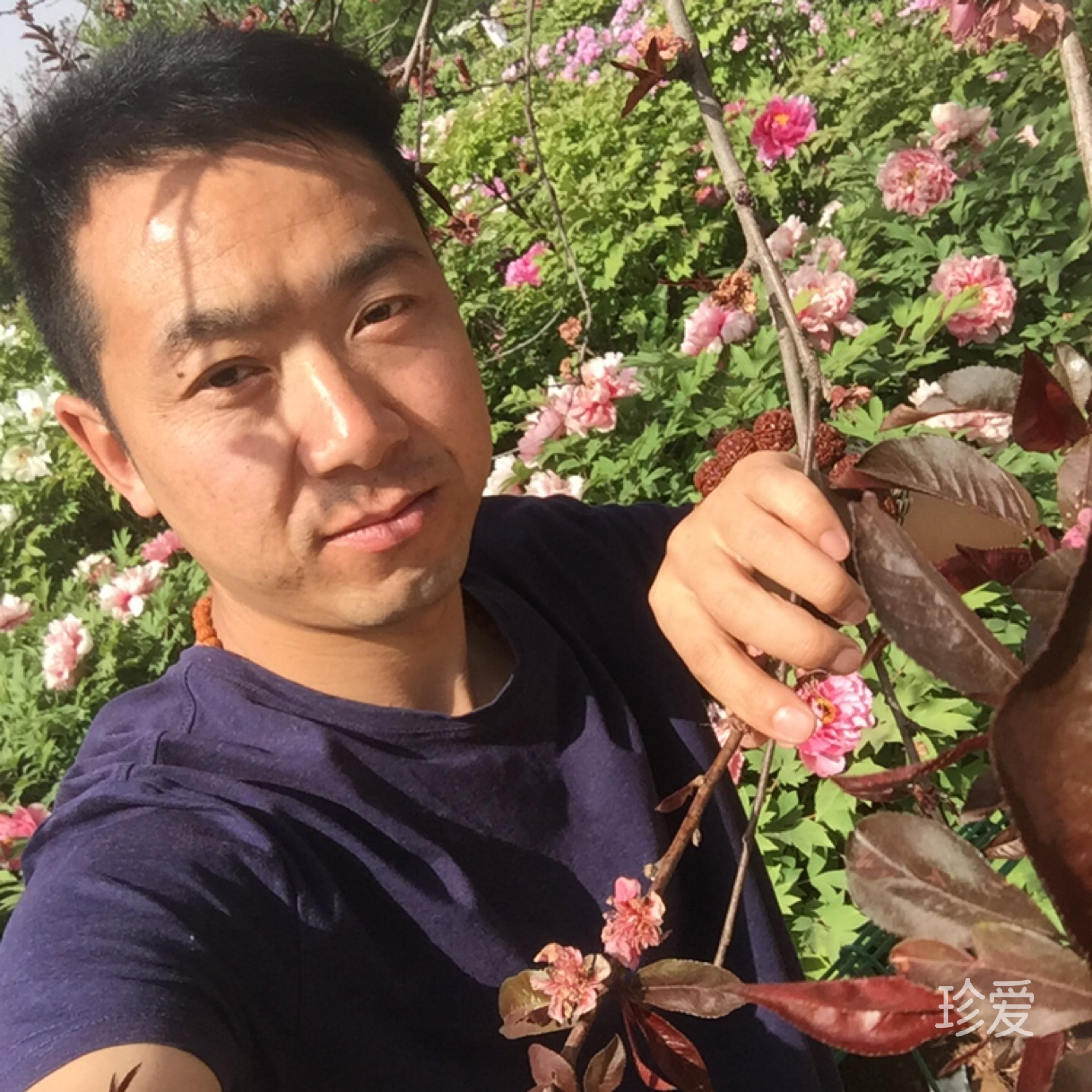 难得糊涂