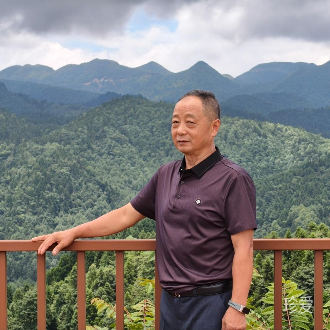 醒不来的梦