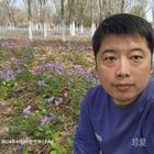 你的名字