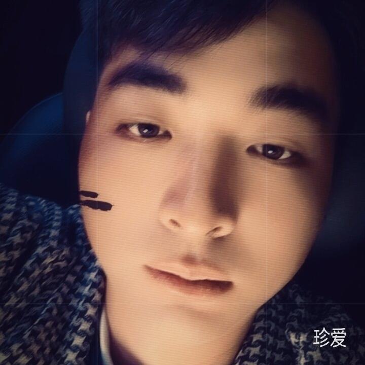 梦想有只狗