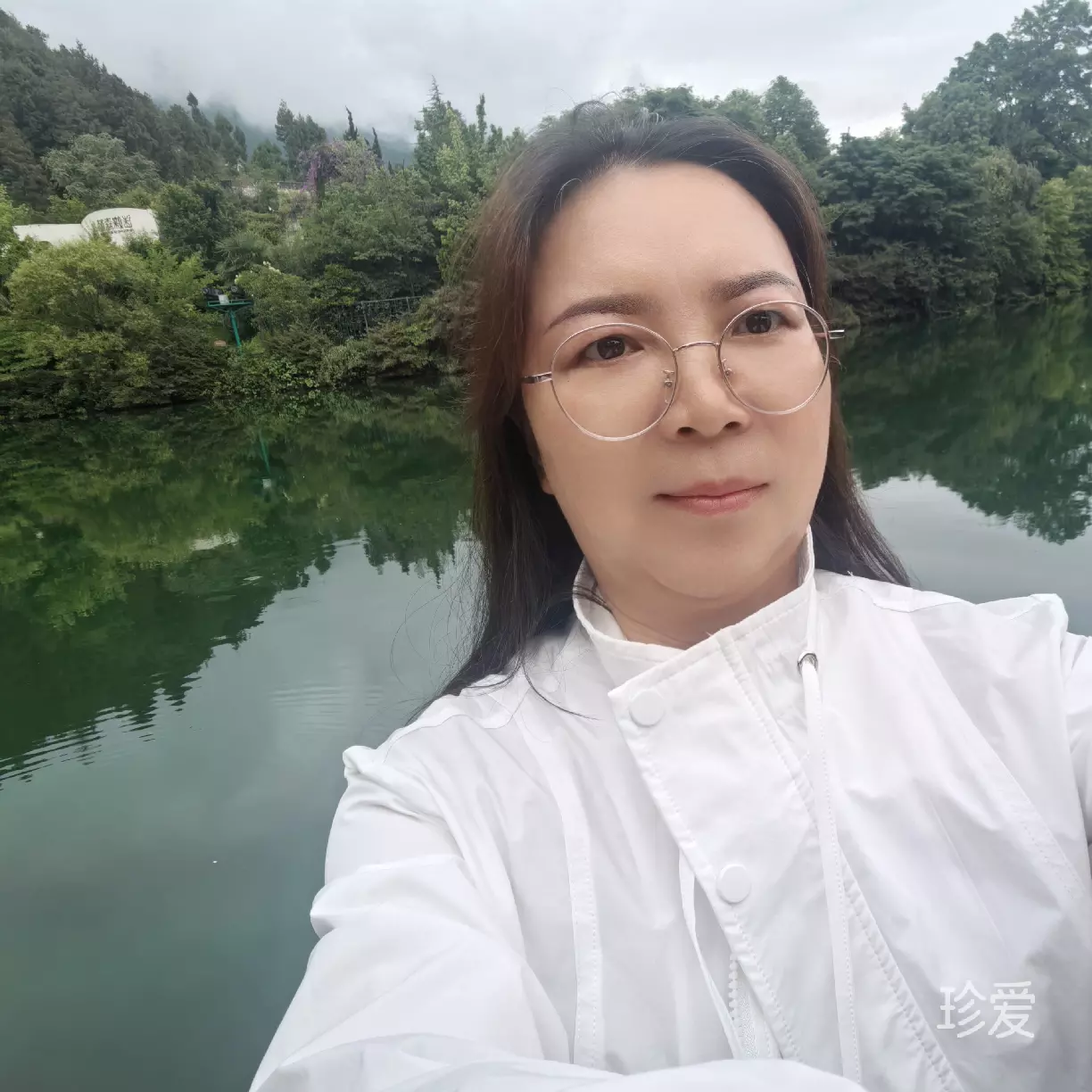 亮蝶