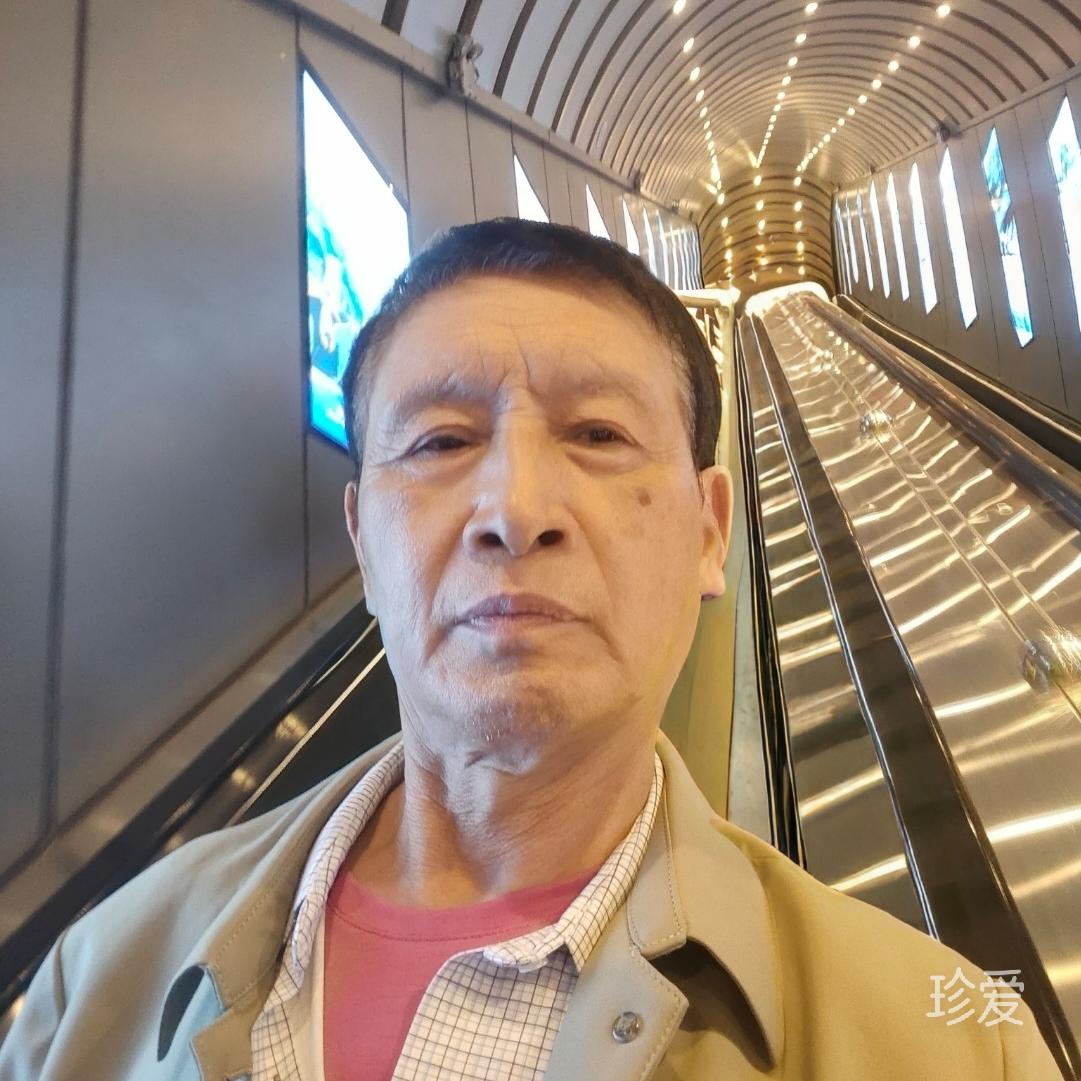 寻旅游伴侣