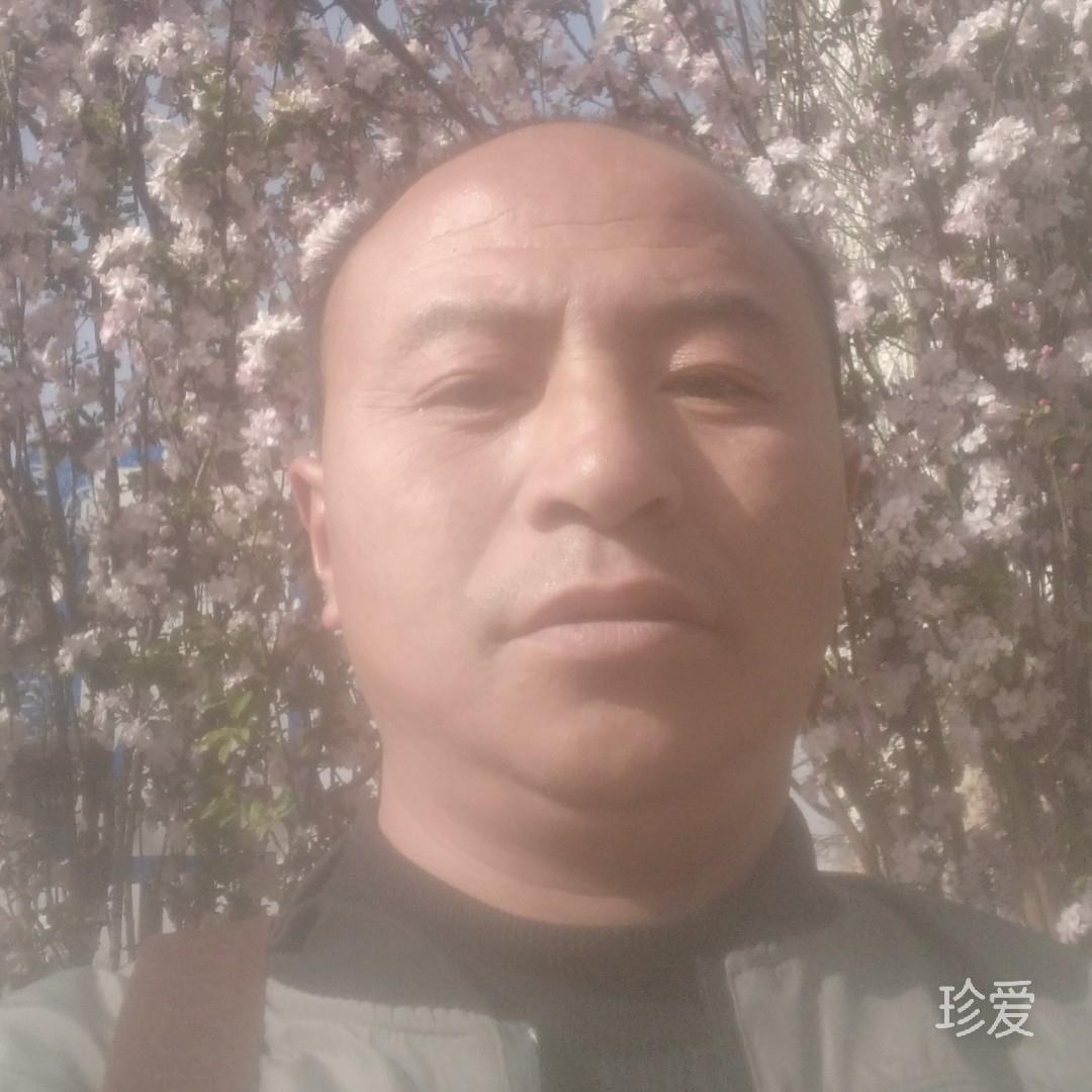 莫逸