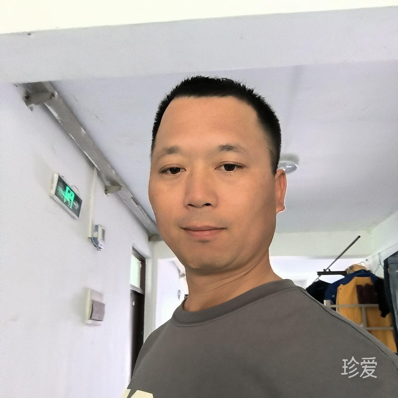醉情仔