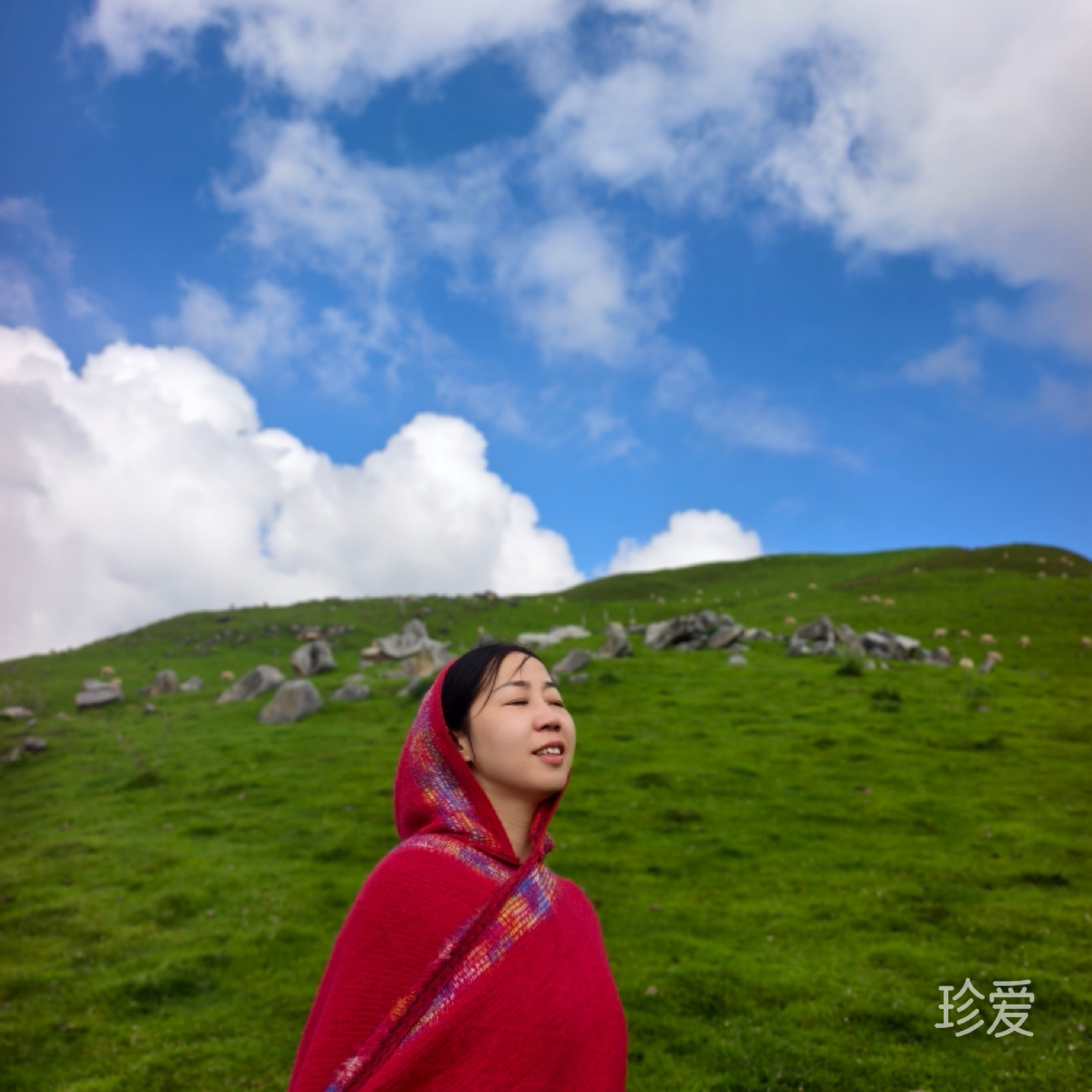 热爱自由