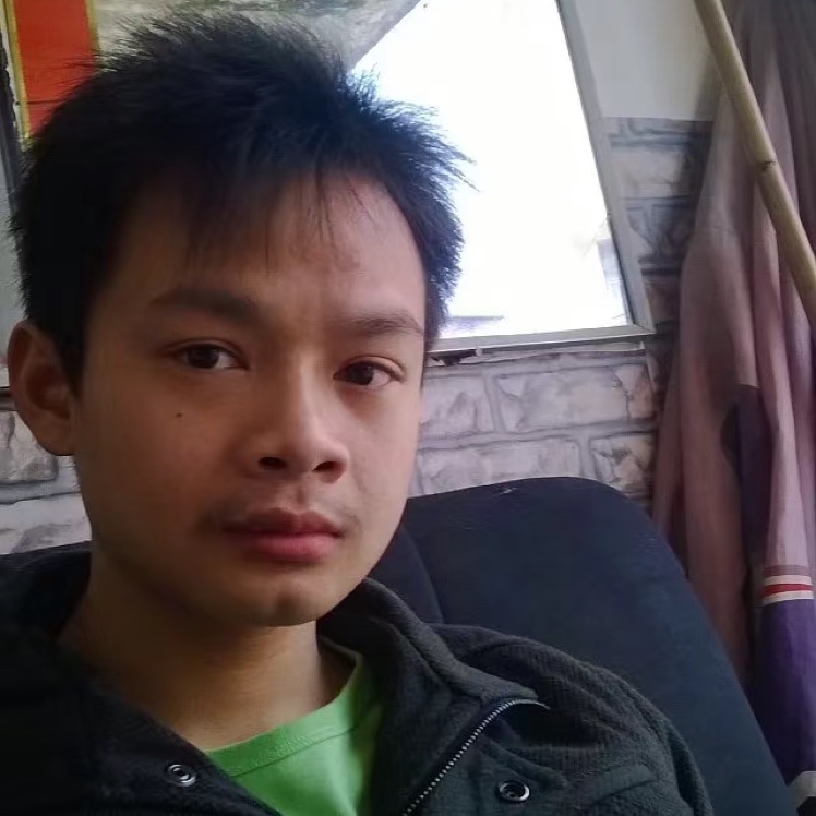 冬天的一片绿叶