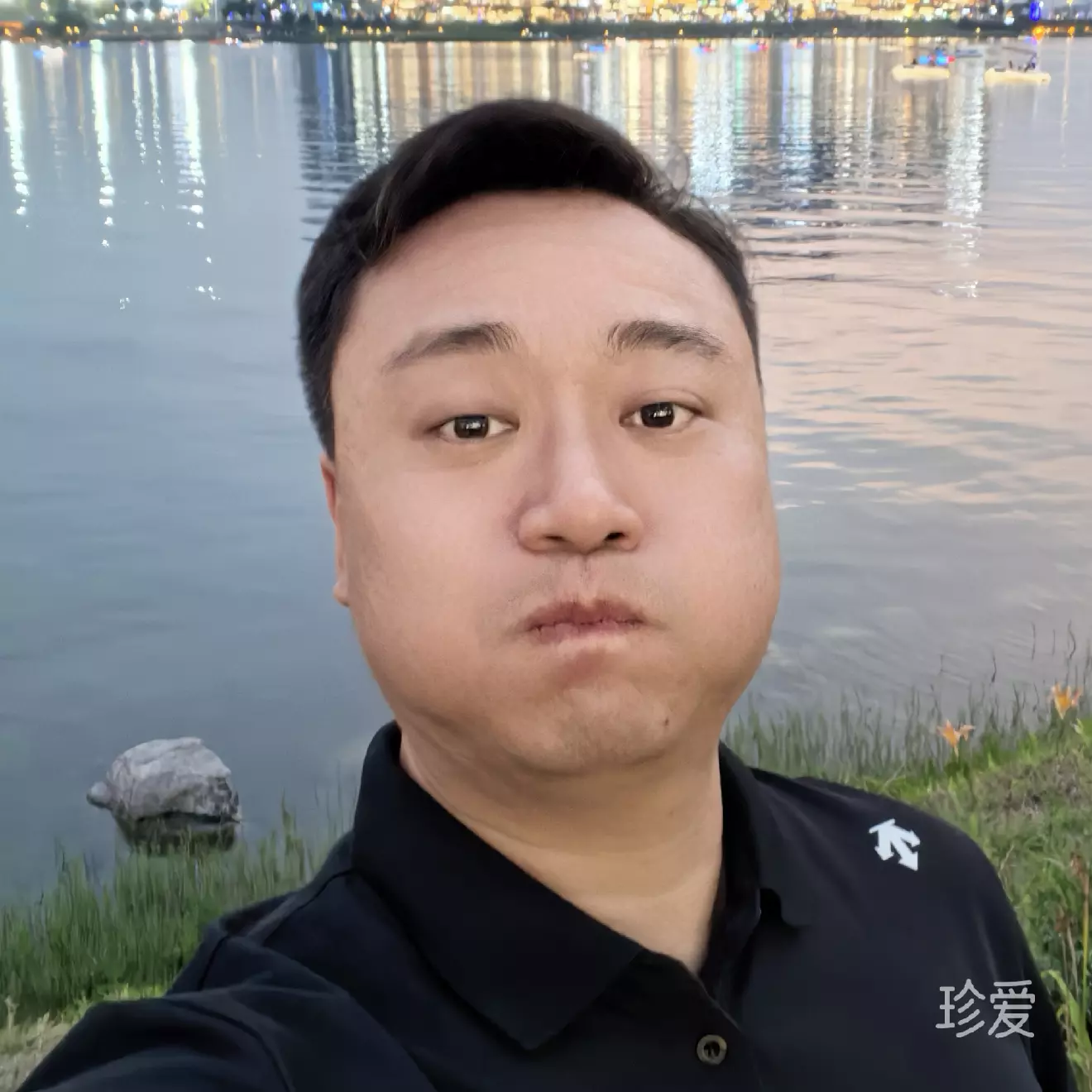 斑马还没睡