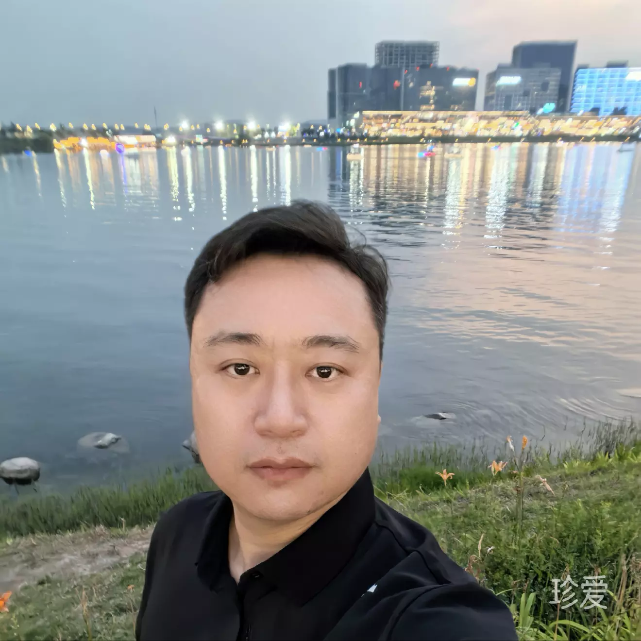 斑马还没睡
