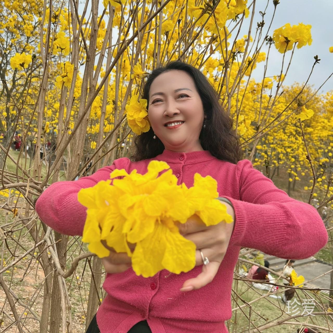 豆豆