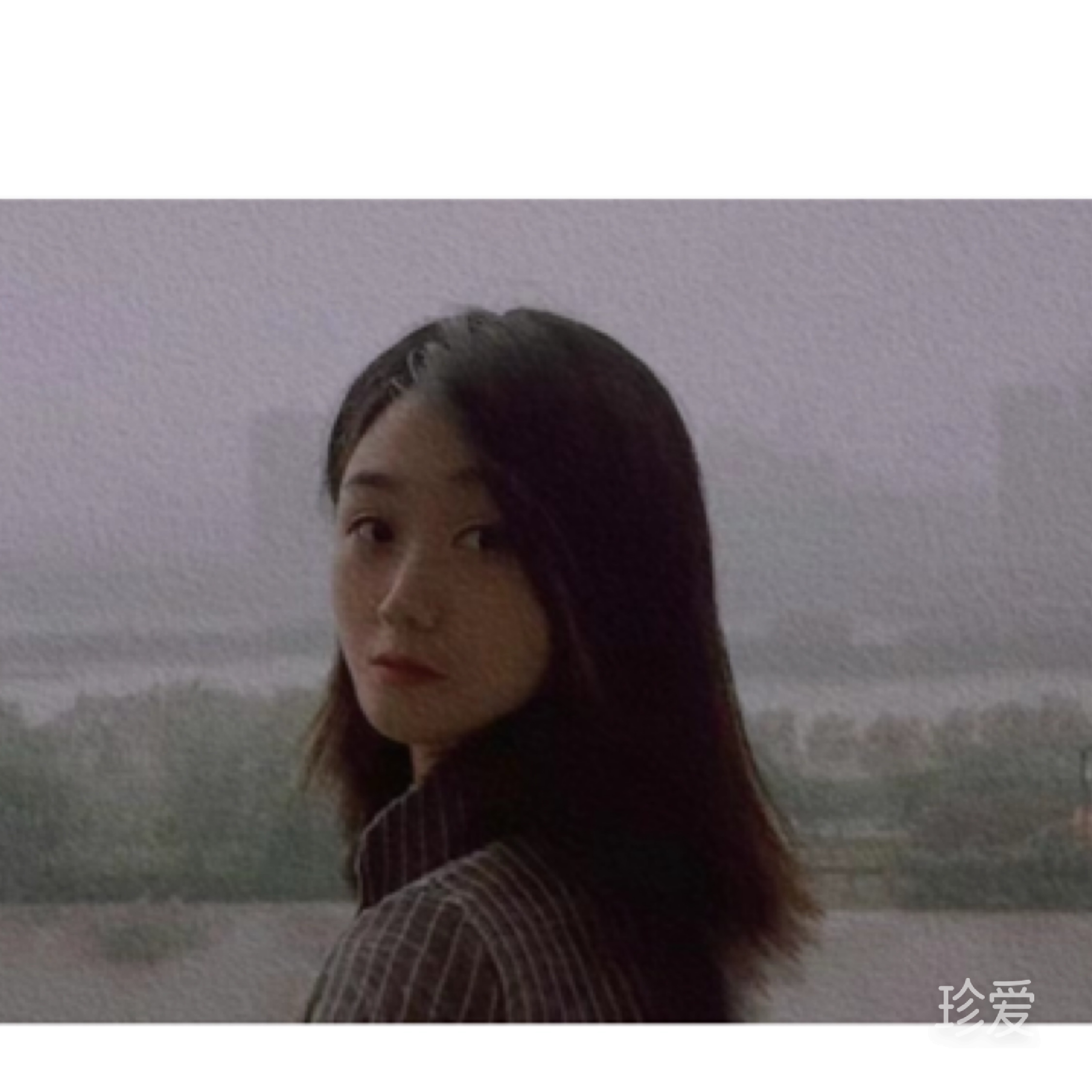 虫小爬