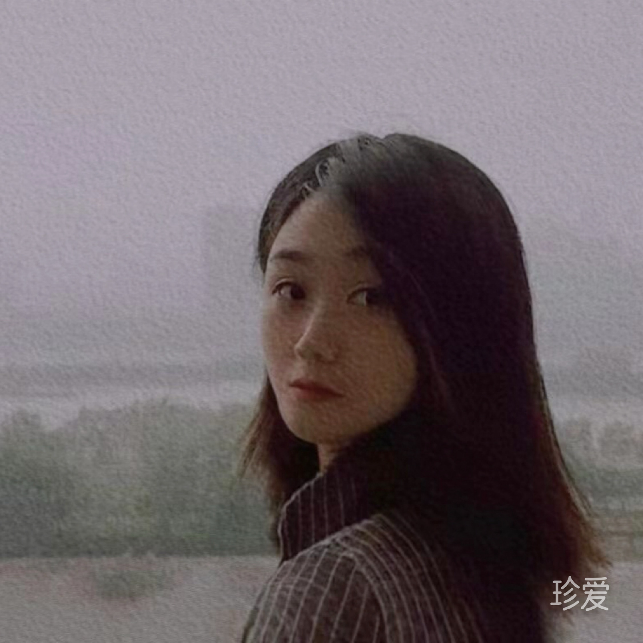 虫小爬
