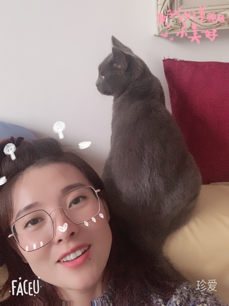 尋找我的蓋世英雄