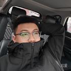 深情的仙人球