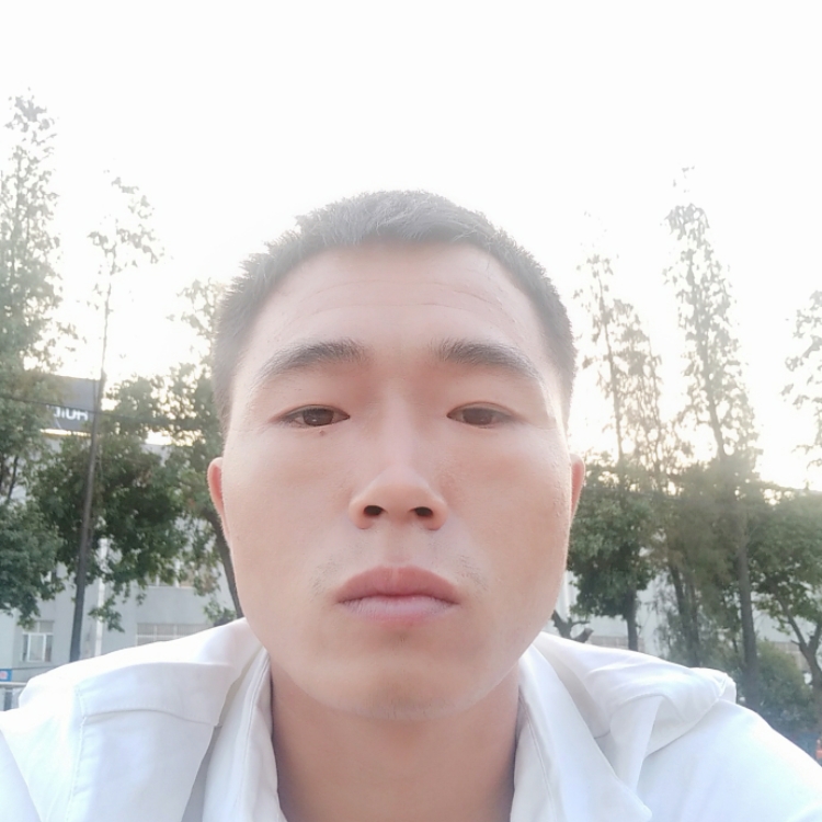 我的另一伴在那里