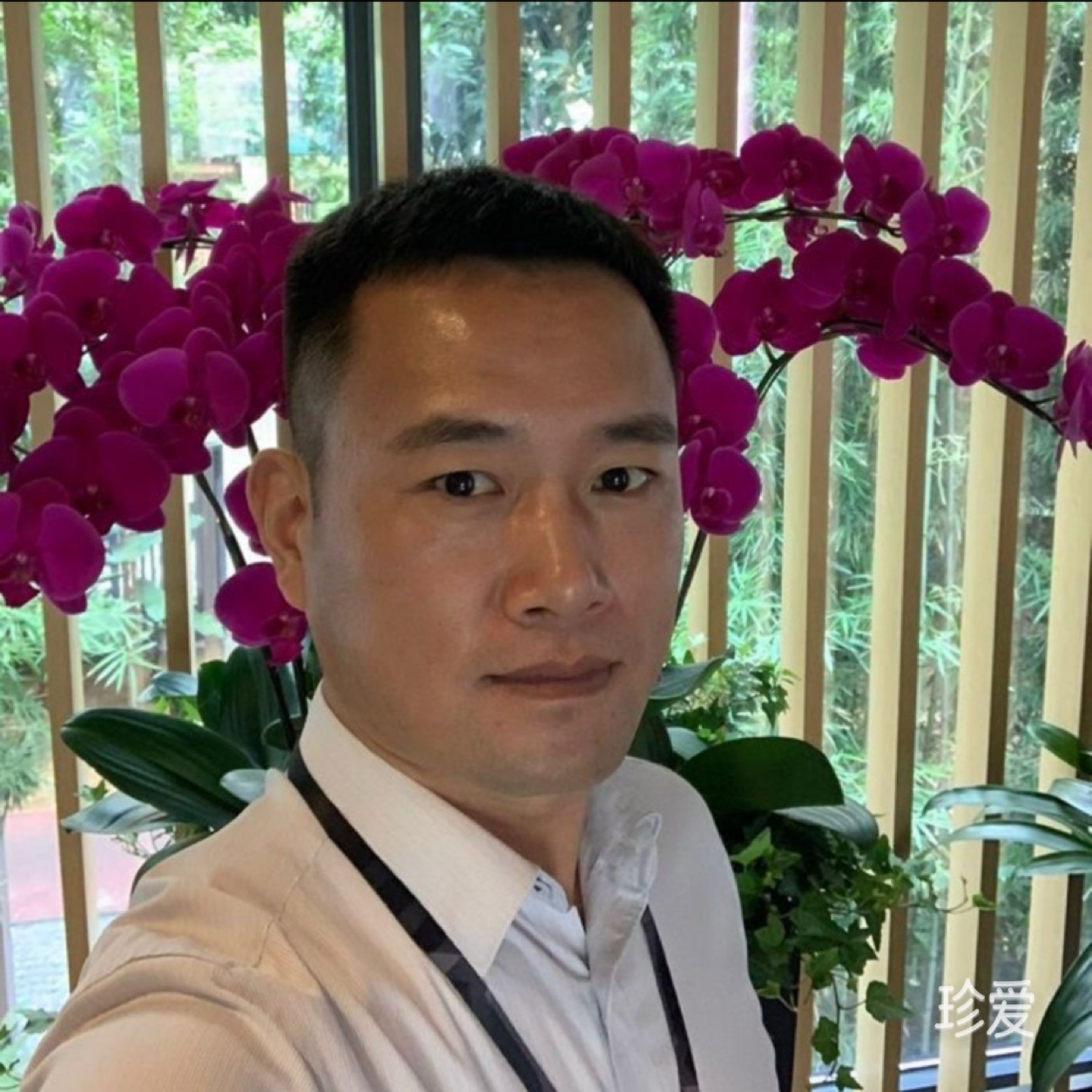 金洋