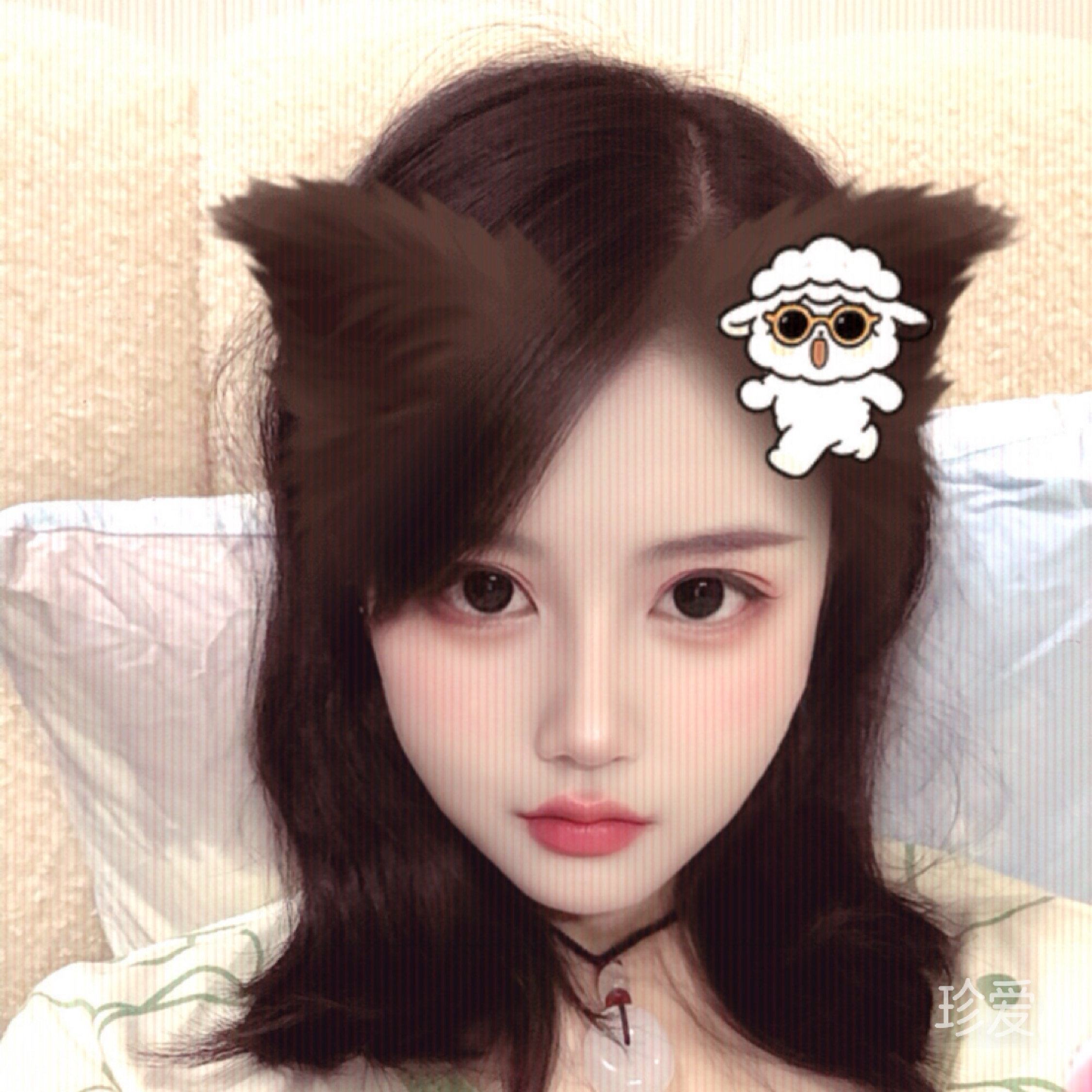 鱼泡泡