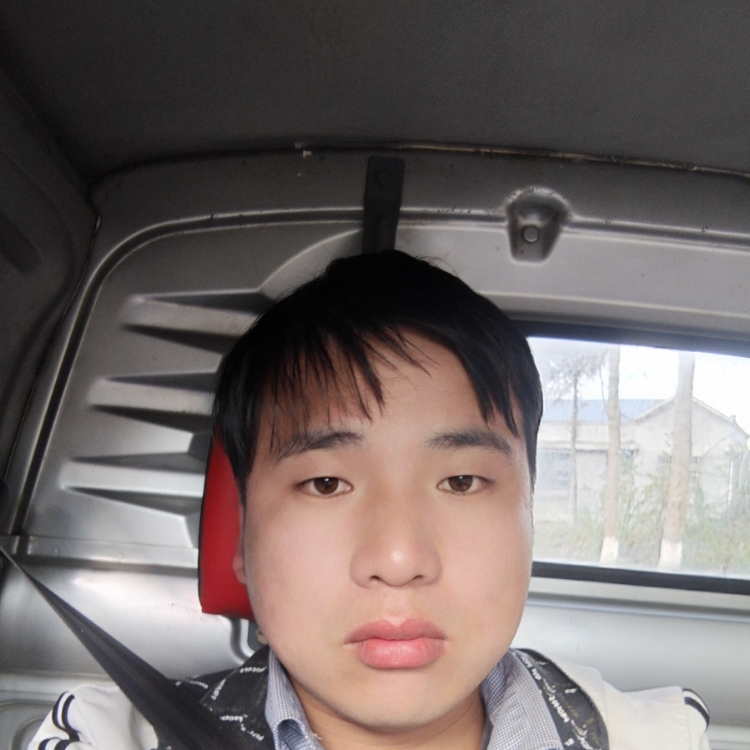 真诚的人真诚的心