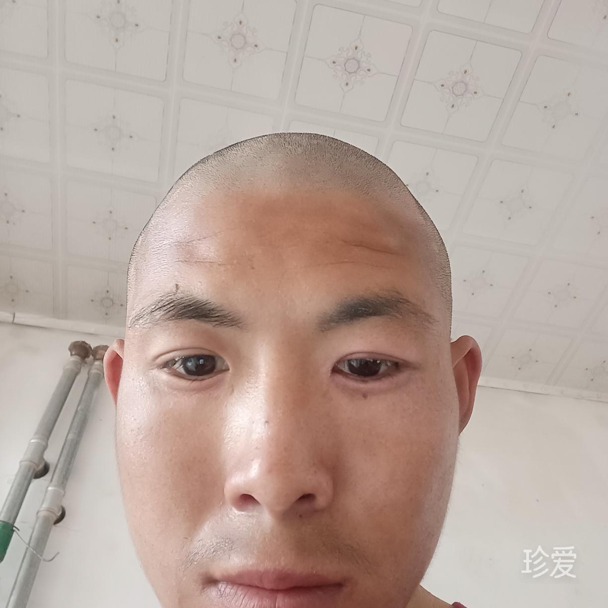 一虎