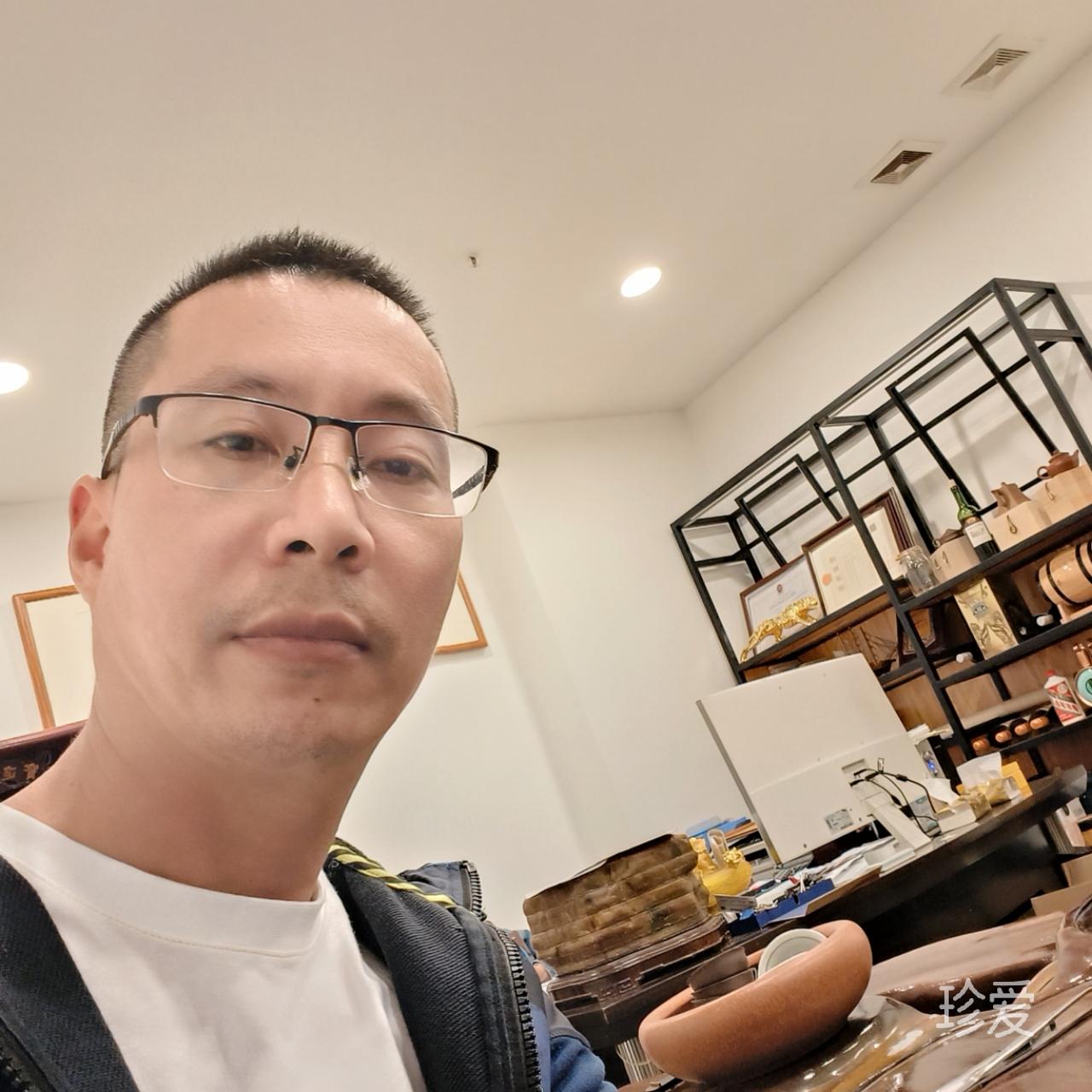 南有乔木