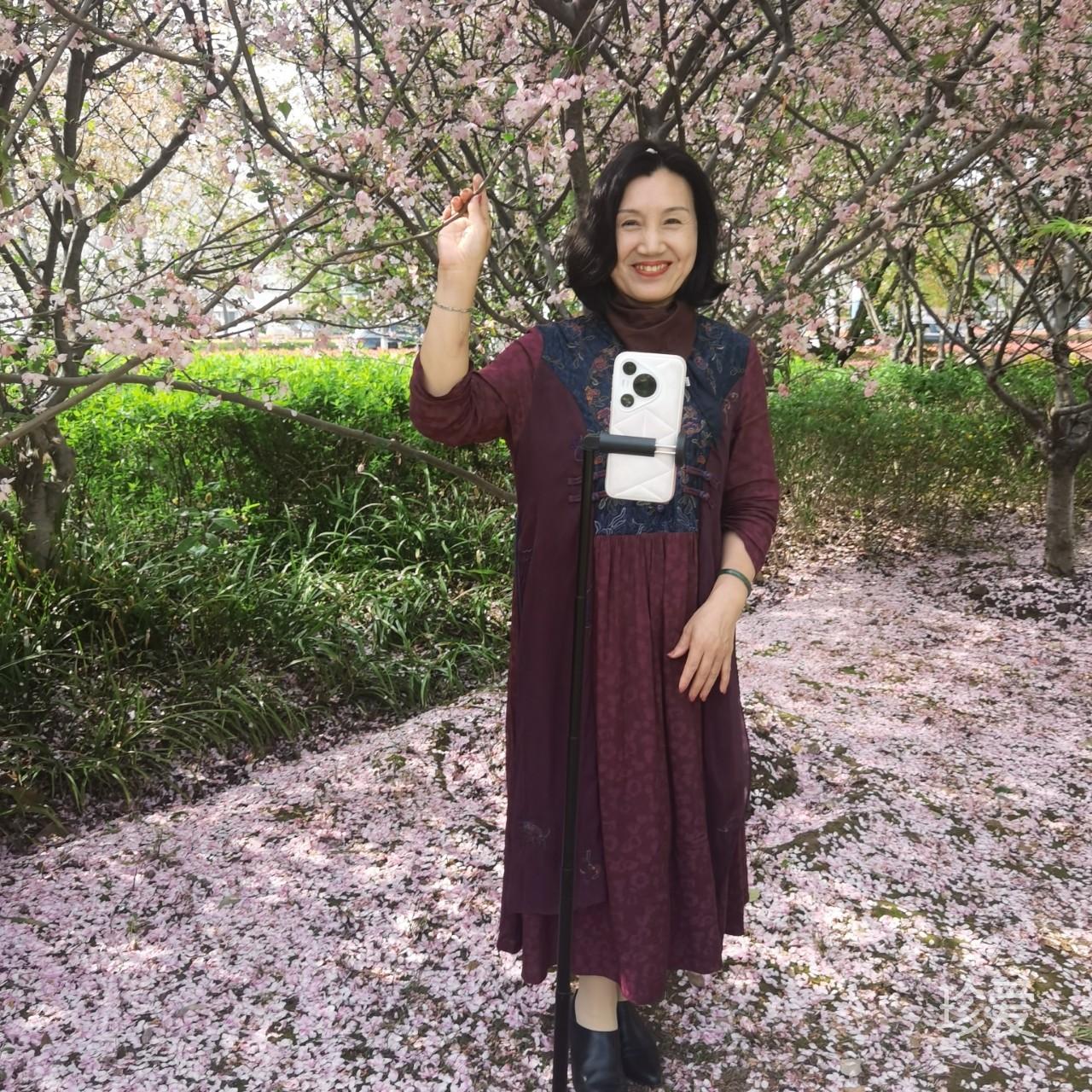 寻一份平淡