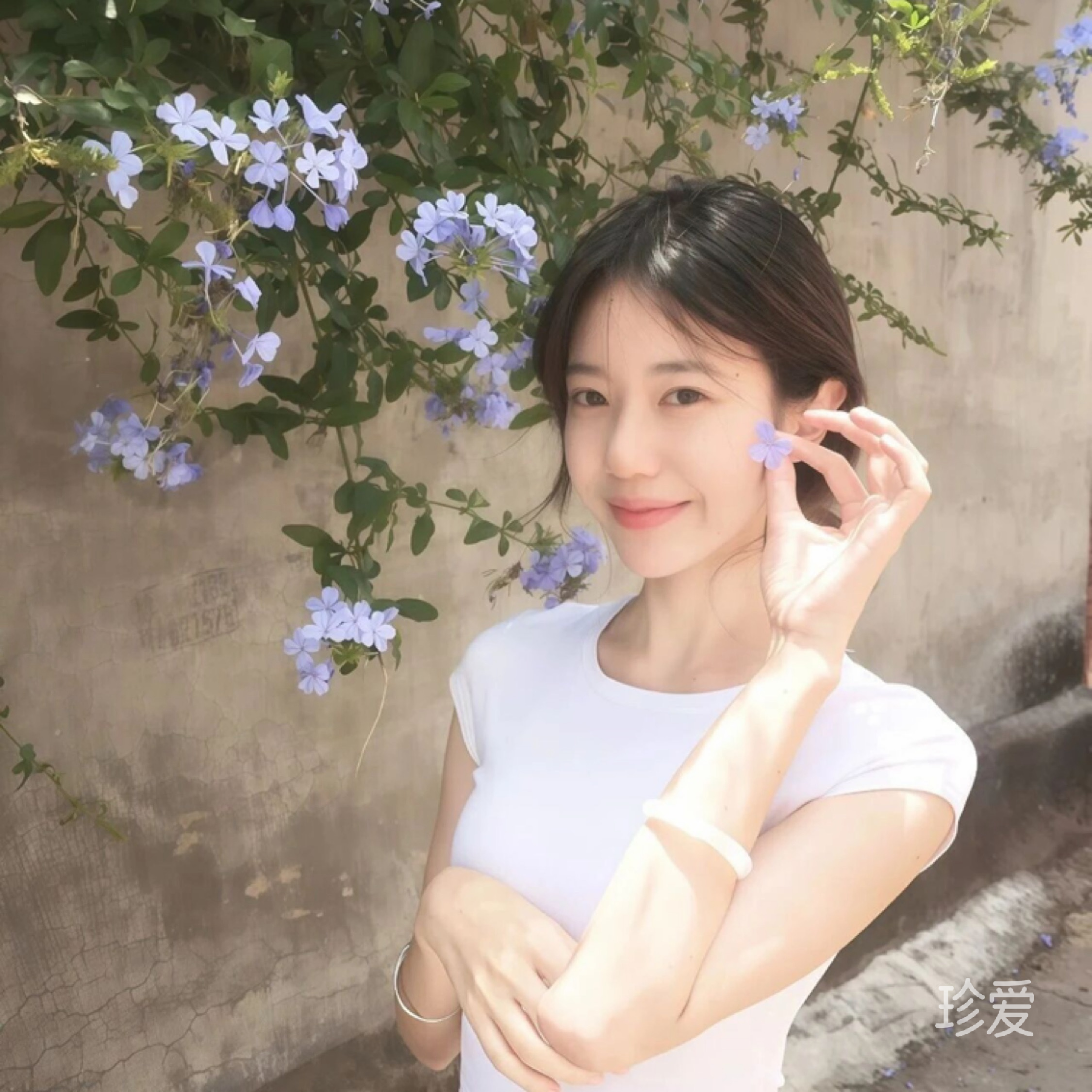 紫瞳