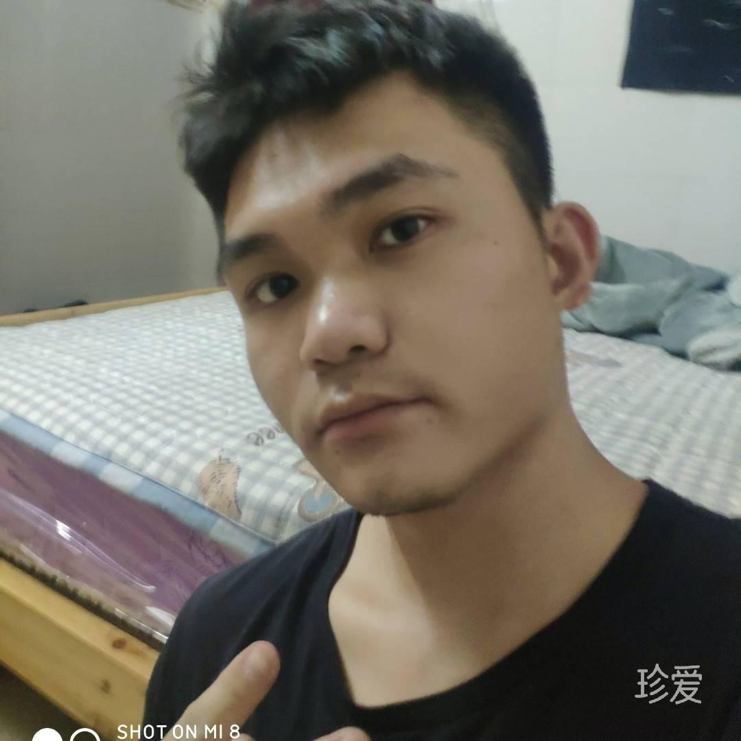 天空的大雁