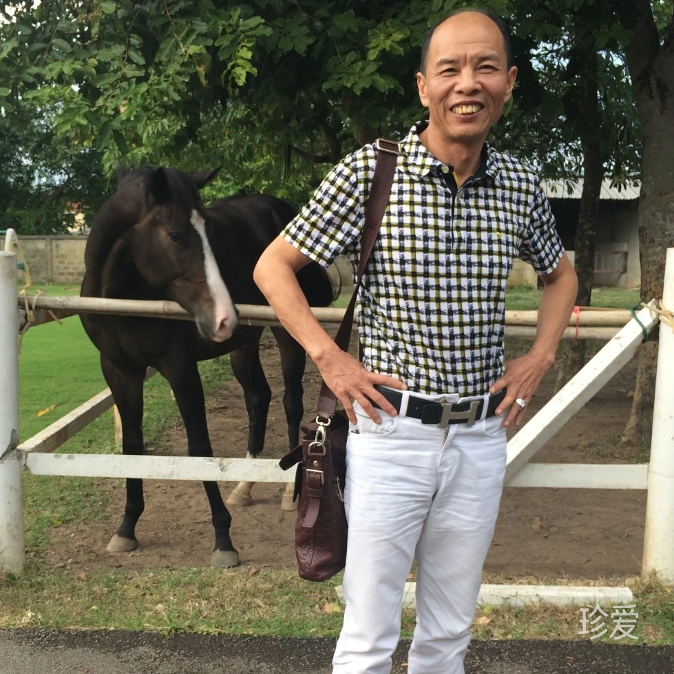 不煽情