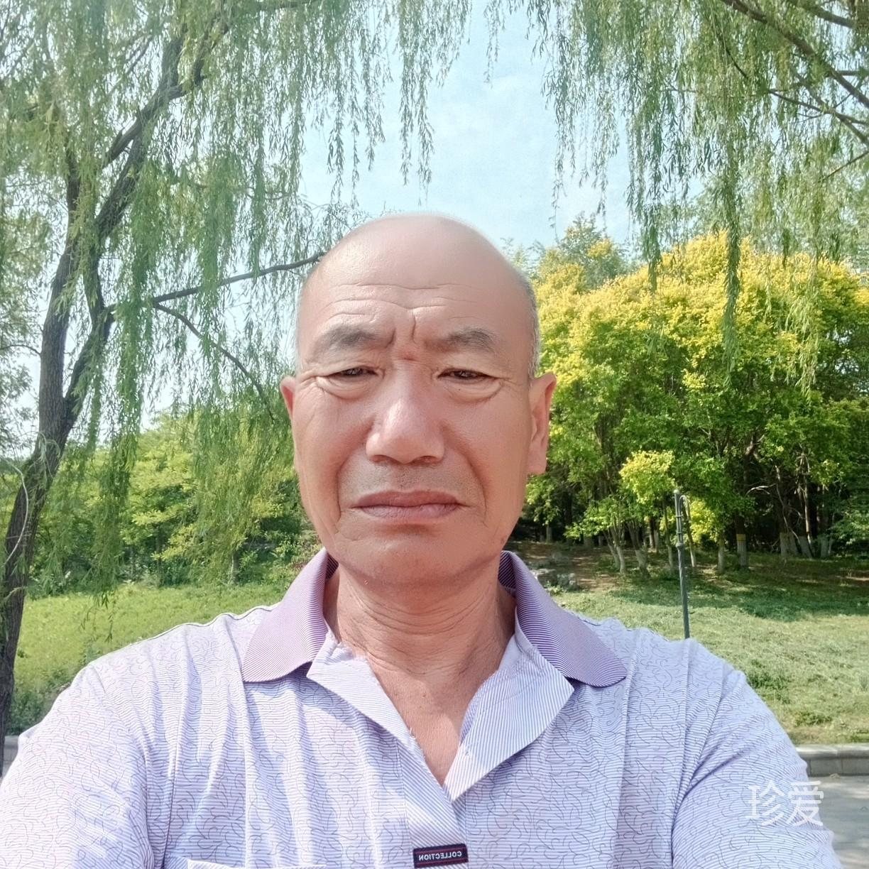 Darius永恒