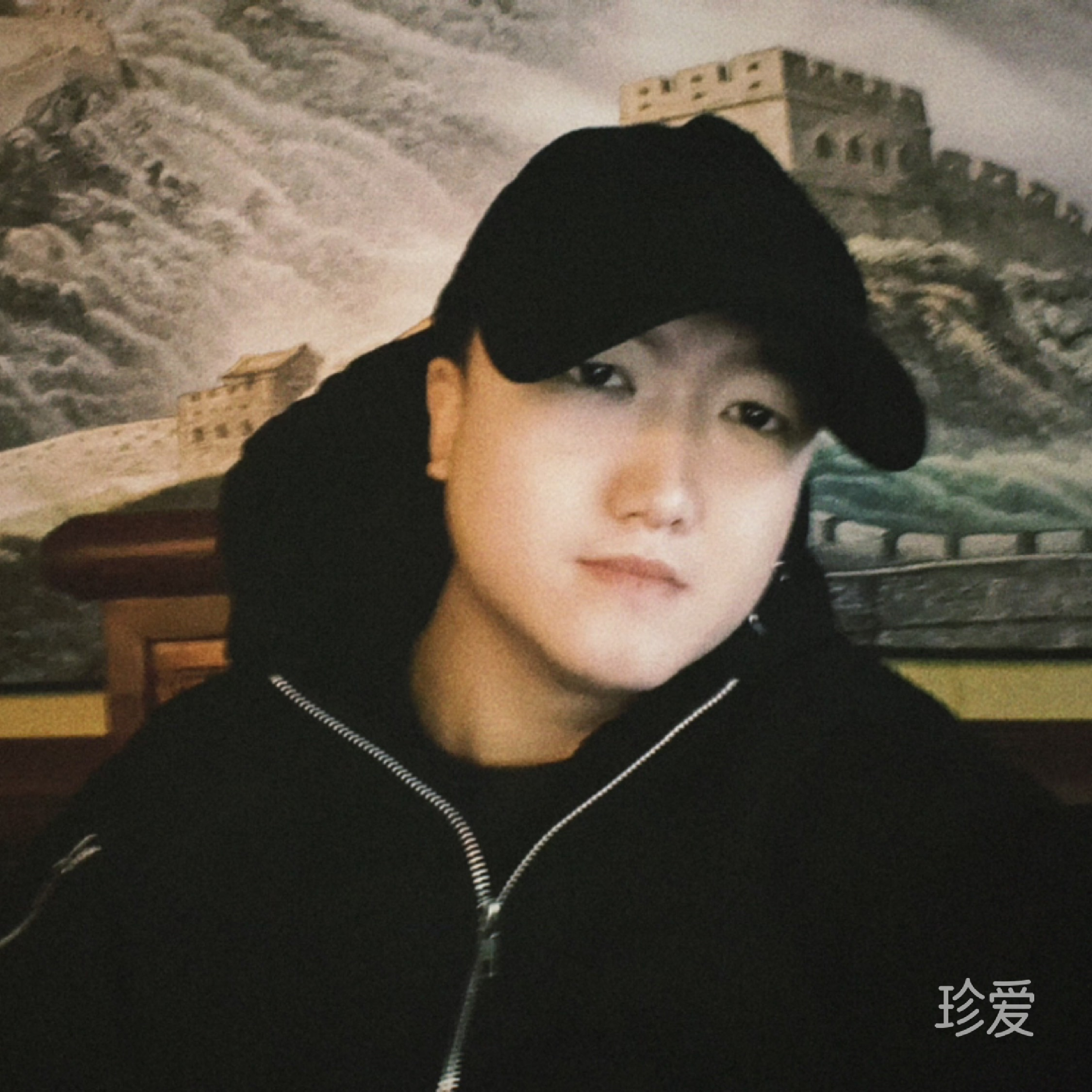 盯住你家大白菜