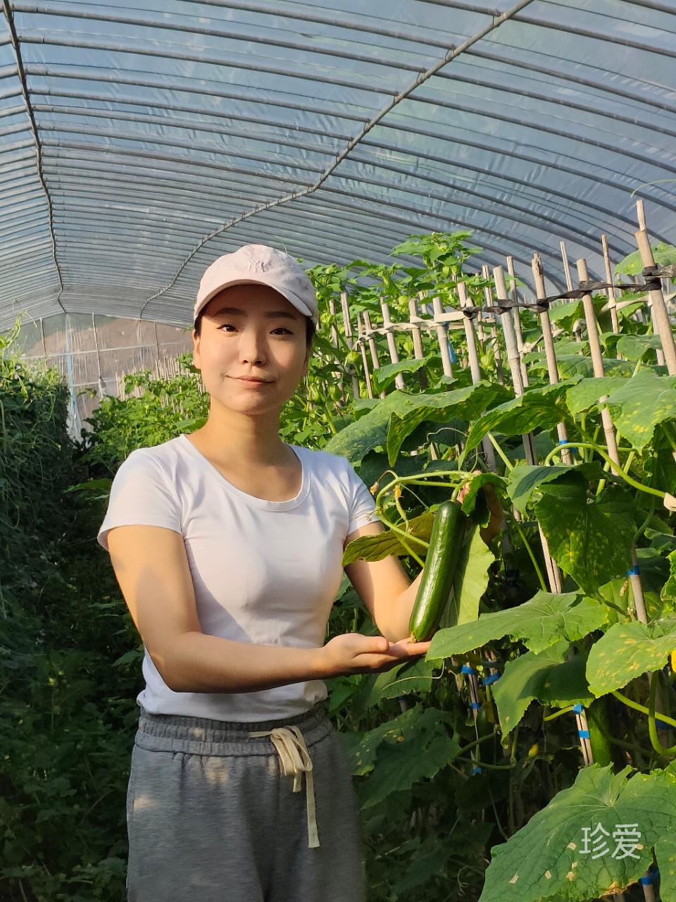 詩與遠(yuǎn)方瀾瀾