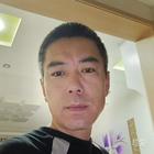 自由翱翔
