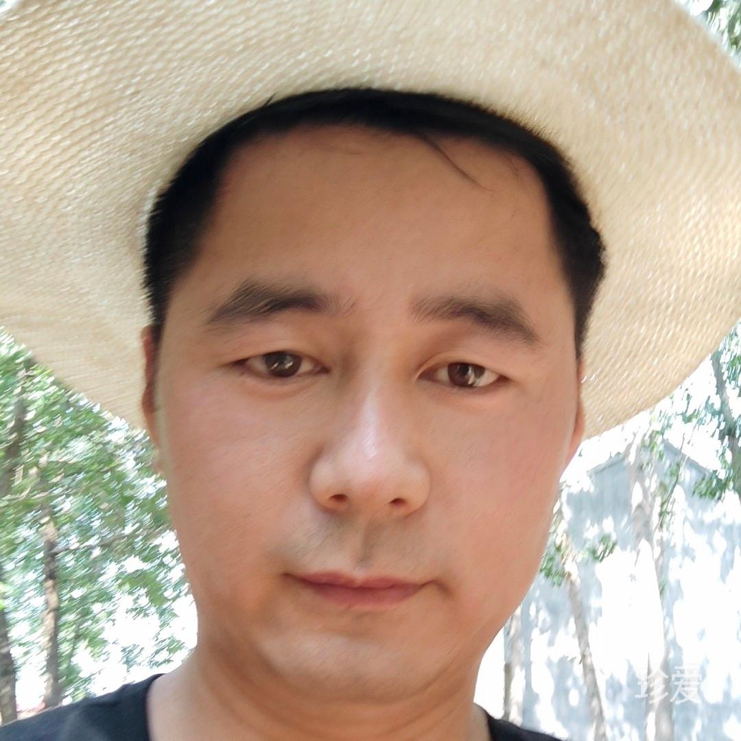 寻找人生的伴侣